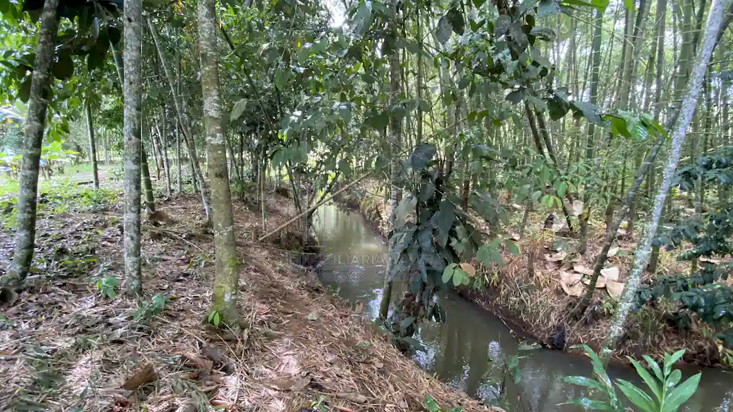 Finca La Esperanza